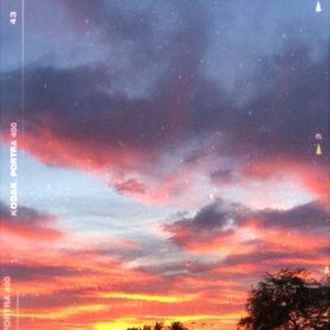 Meet your Posher, Anne